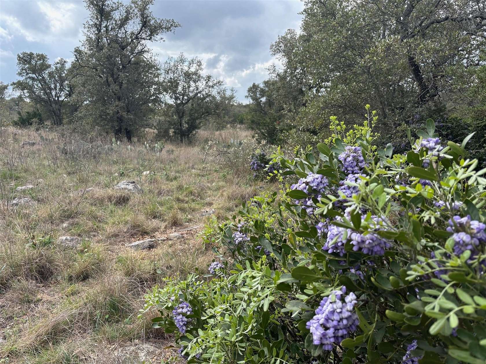 1.74 Acres of Residential Land for Sale in Kingsland, Texas