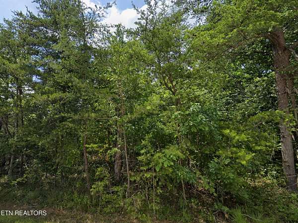 0.25 Acres of Residential Land for Sale in Crossville, Tennessee