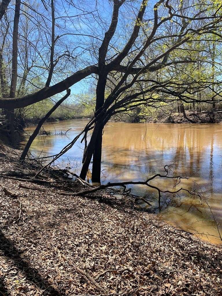 352 Acres of Recreational & Residential Land for Sale in Wells, Texas