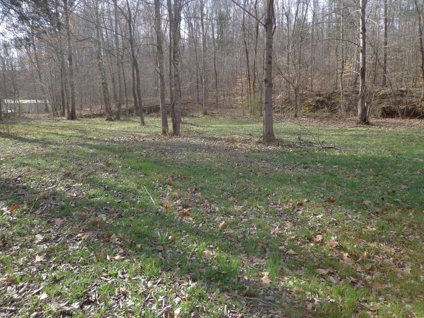 10 Acres of Recreational Land for Sale in McEwen, Tennessee