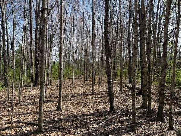 11 Acres of Recreational Land for Sale in McMinnville, Tennessee