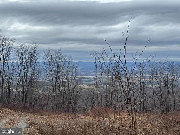 12.5 Acres of Recreational & Residential Land for Sale in New Market, Virginia