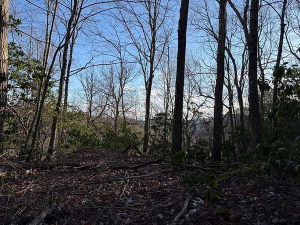 1.54 Acres of Land for Sale in Murphy, North Carolina