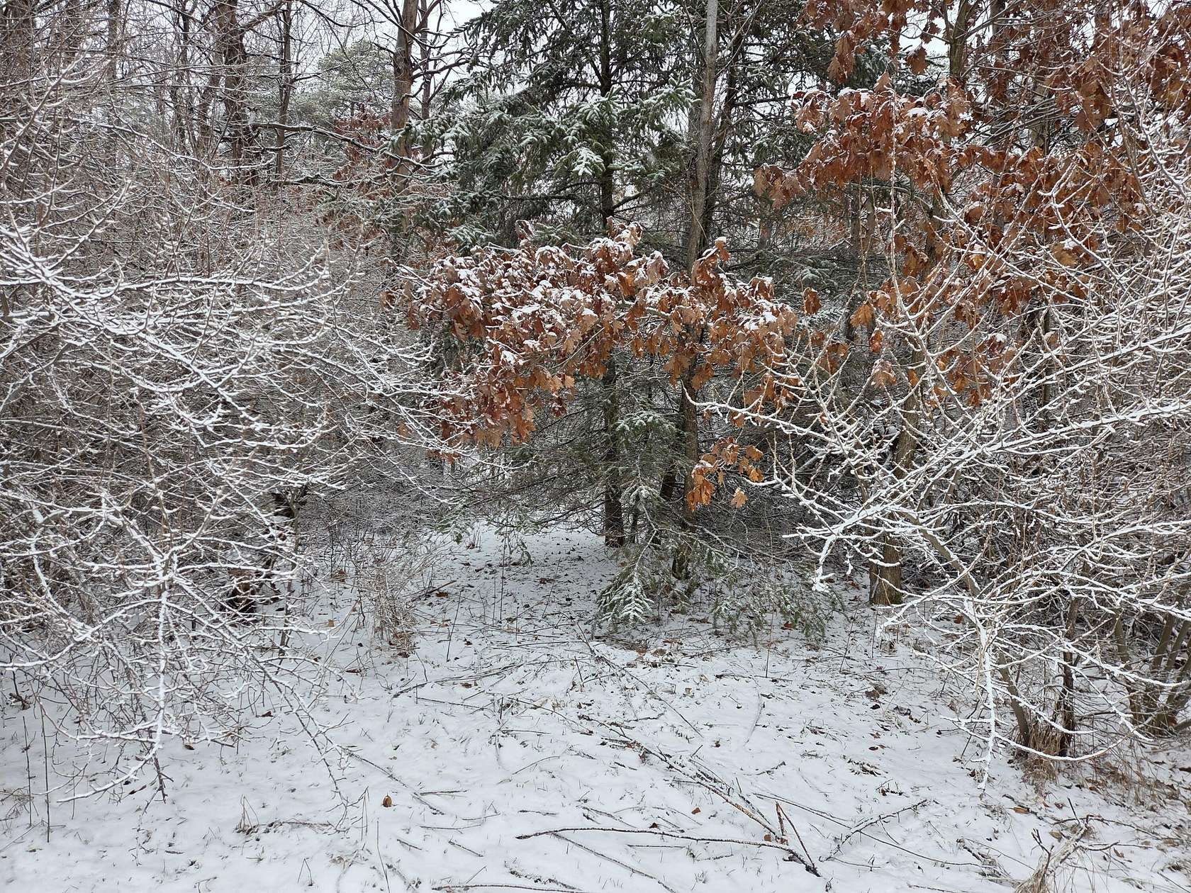 5 Acres of Land for Sale in White Cloud, Michigan