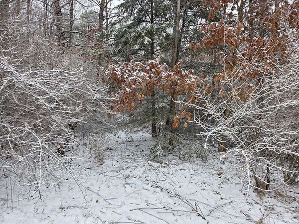 5 Acres of Land for Sale in White Cloud, Michigan