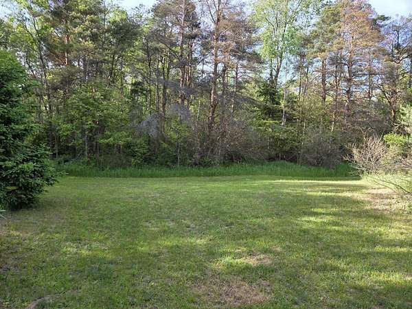 5 Acres of Land for Sale in White Cloud, Michigan