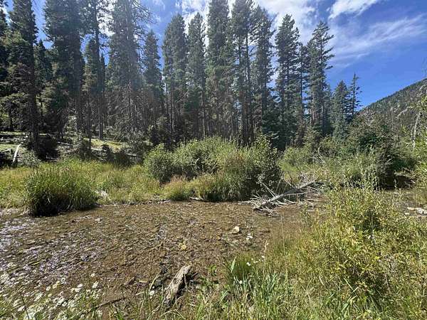 1 Acre of Residential Land for Sale in Taos Ski Valley, New Mexico