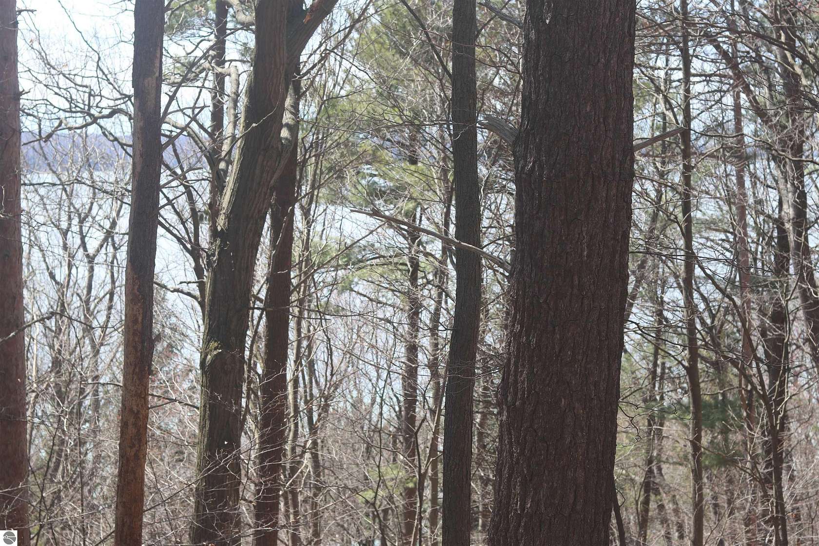 2.53 Acres of Land for Sale in Beulah, Michigan