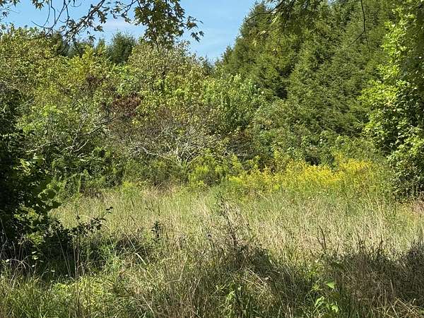 2.4 Acres of Residential Land for Sale in Palmer, Tennessee