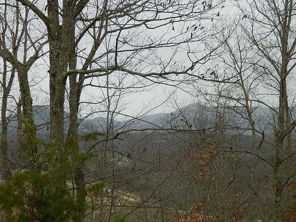 53.4 Acres of Land with Home for Sale in Irvine, Kentucky