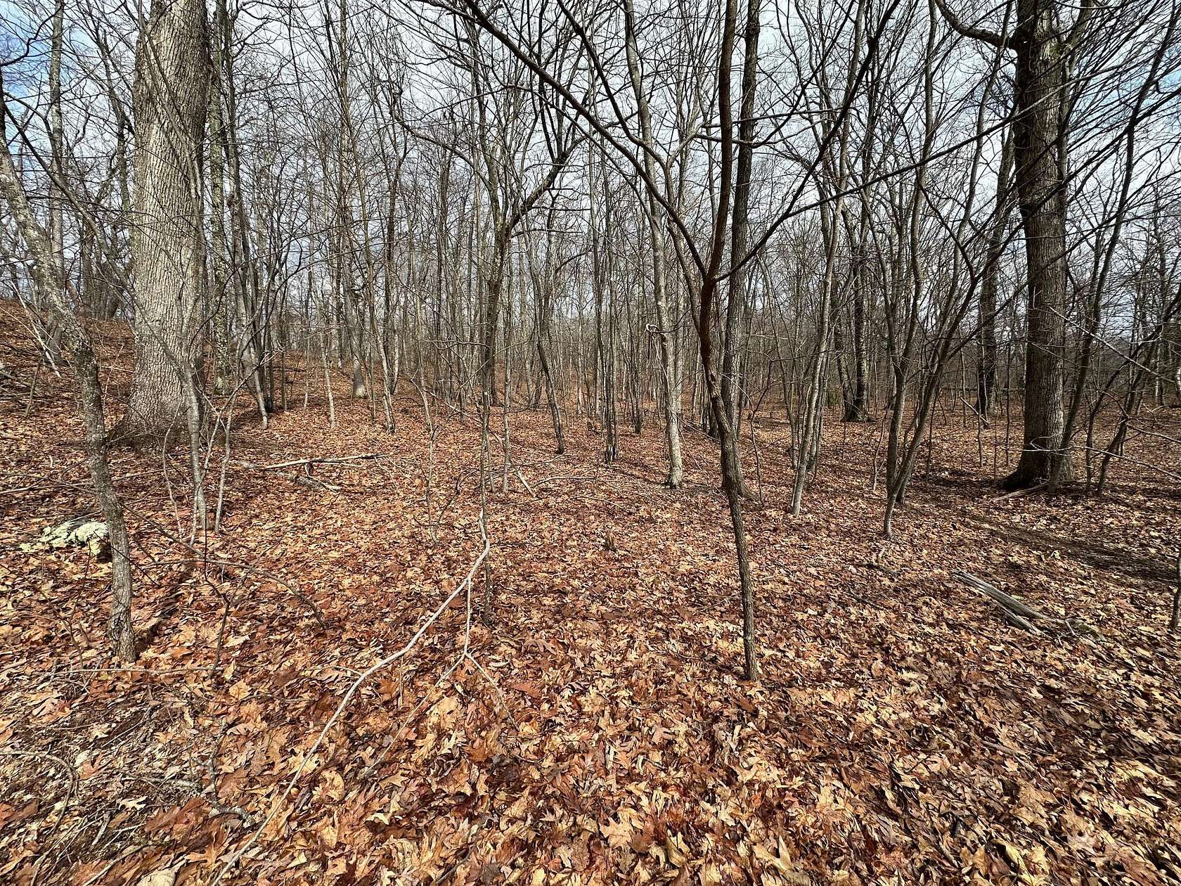 78.7 Acres of Recreational Land for Sale in Eagle Rock, Virginia