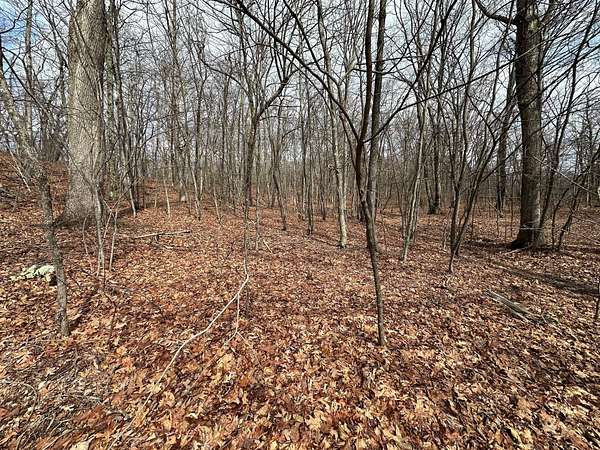 78.7 Acres of Recreational Land for Sale in Eagle Rock, Virginia