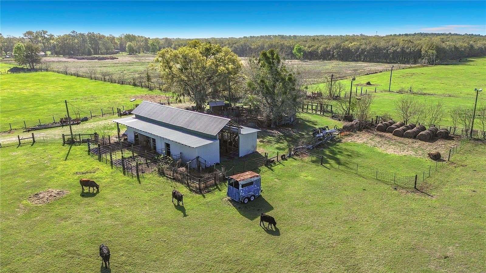 20 Acres of Improved Agricultural Land for Sale in Oxford, Florida