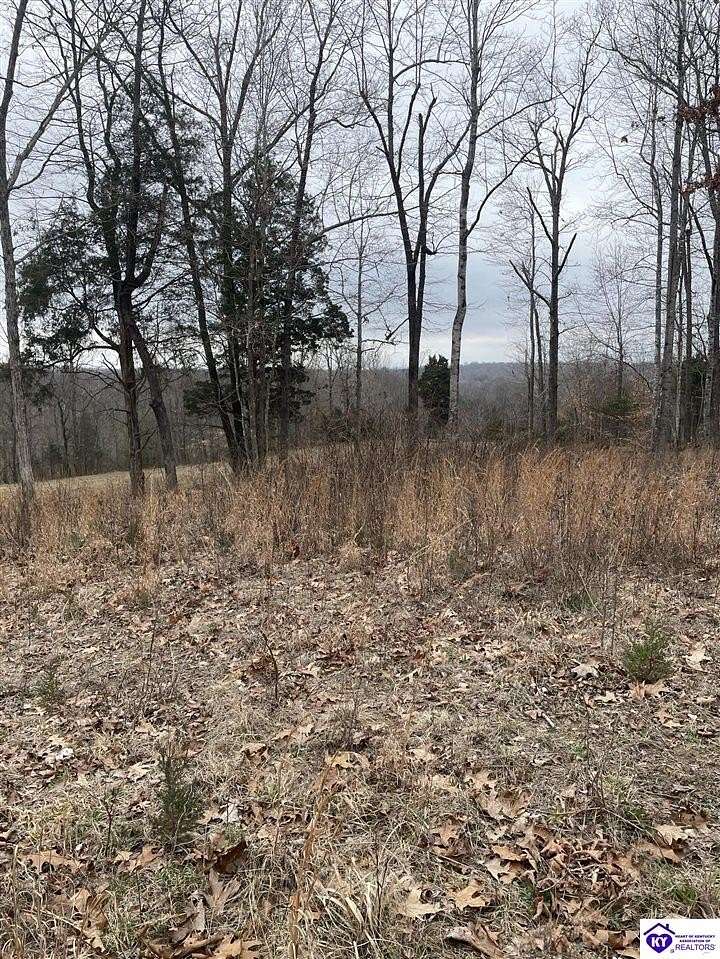 0.55 Acres of Residential Land for Sale in Leitchfield, Kentucky