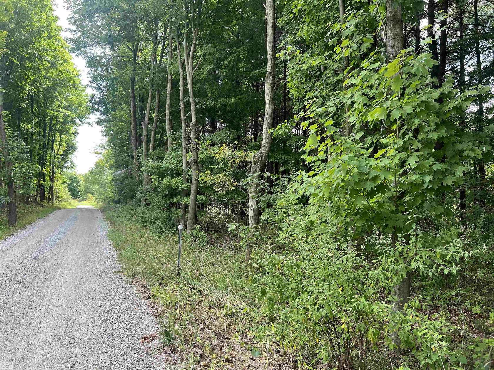 5 Acres of Residential Land for Sale in Mussey Township, Michigan