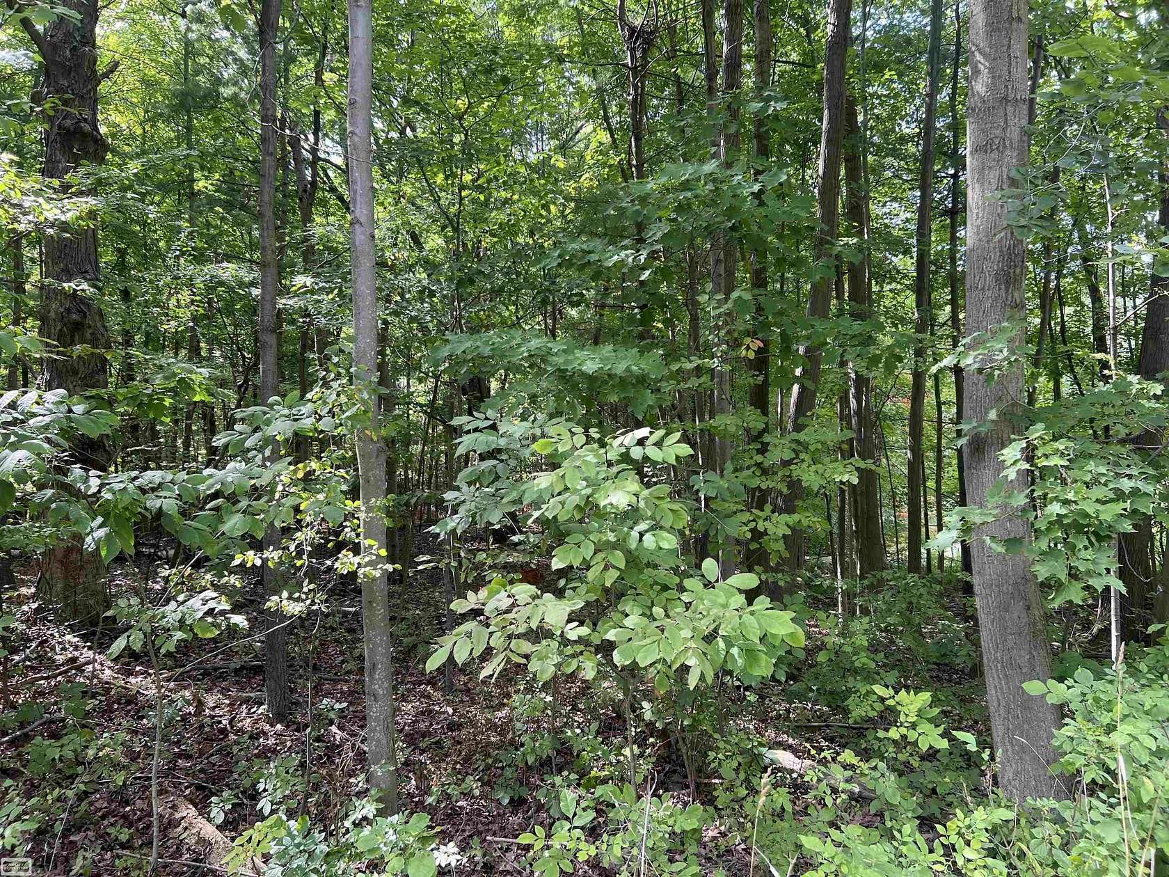 5 Acres of Residential Land for Sale in Mussey Township, Michigan