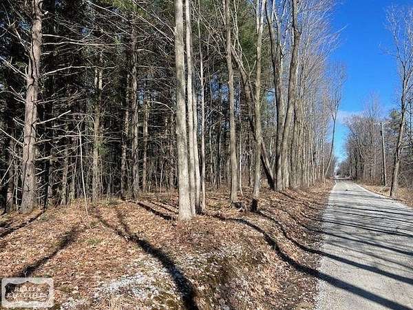 5 Acres of Residential Land for Sale in Mussey Township, Michigan