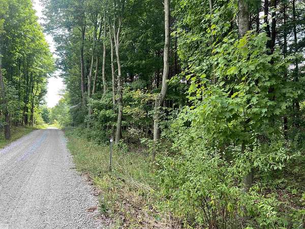 5 Acres of Residential Land for Sale in Mussey Township, Michigan