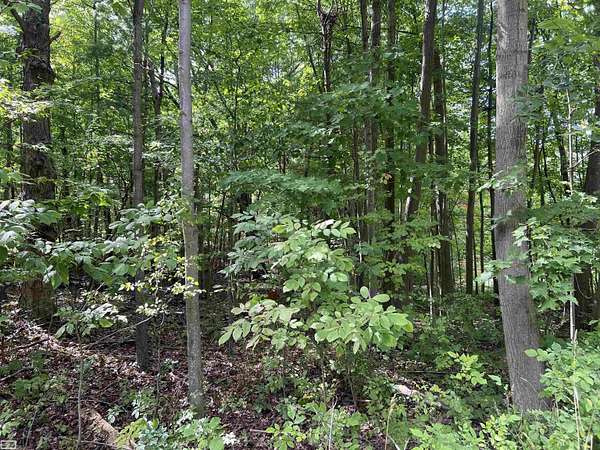 5 Acres of Residential Land for Sale in Mussey Township, Michigan