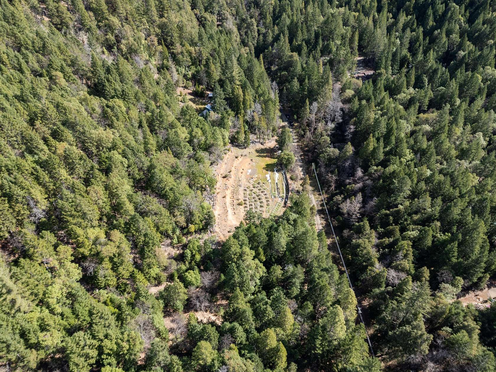 13.7 Acres of Recreational & Residential Land for Sale in Selma, Oregon