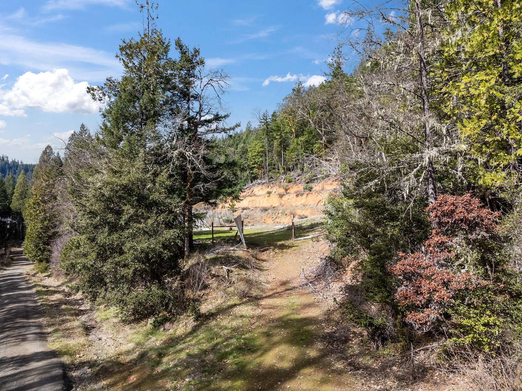 13.7 Acres of Recreational & Residential Land for Sale in Selma, Oregon