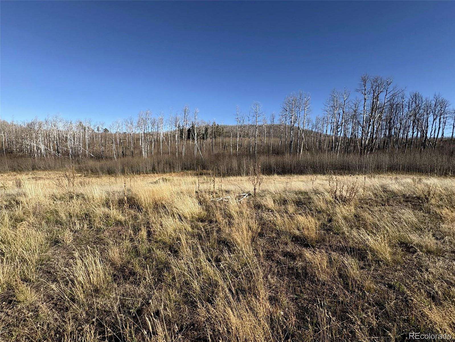 2.24 Acres of Residential Land for Sale in Fort Garland, Colorado