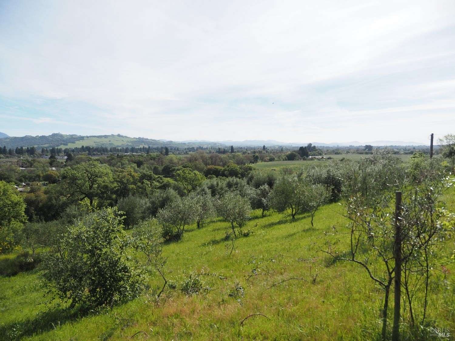 10.6 Acres of Land for Sale in Healdsburg, California