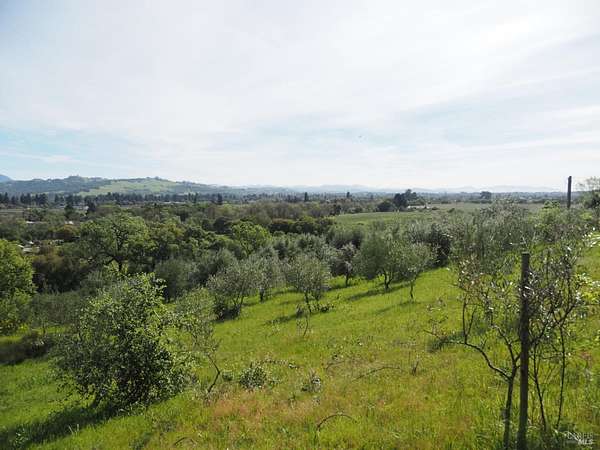 10.6 Acres of Land for Sale in Healdsburg, California