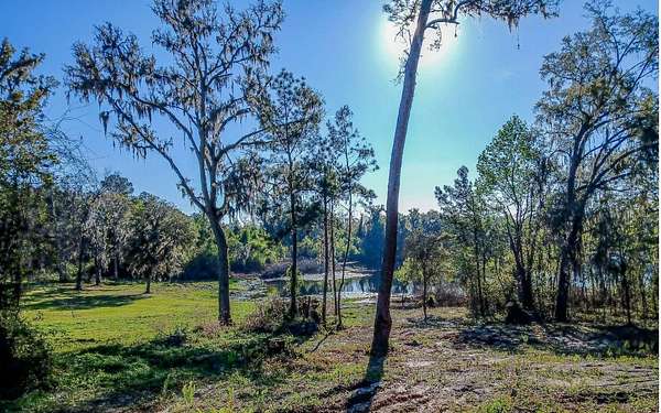 1.62 Acres of Residential Land for Sale in Lake City, Florida