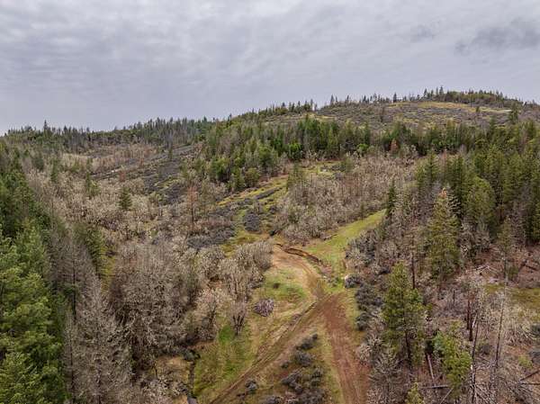 45.2 Acres of Recreational & Residential Land for Sale in Eagle Point, Oregon