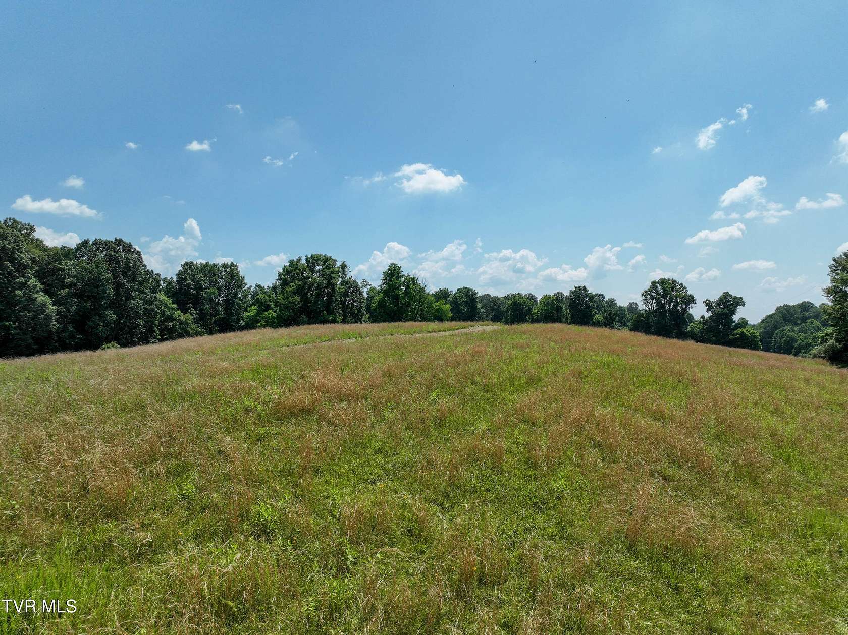 66 Acres of Land for Sale in Piney Flats, Tennessee