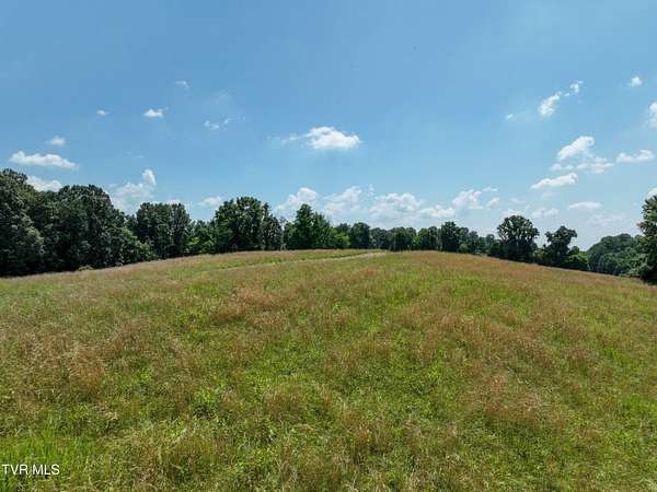 66 Acres of Land for Sale in Piney Flats, Tennessee