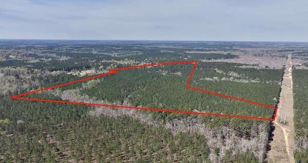 55.8 Acres of Recreational Land for Sale in Crawfordville, Georgia