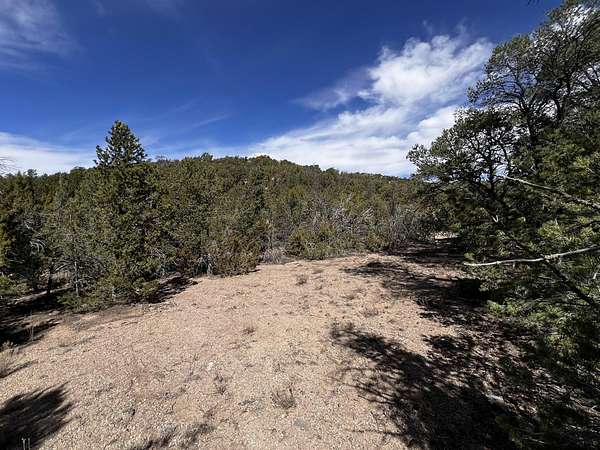 11.6 Acres of Recreational Land for Sale in Tijeras, New Mexico