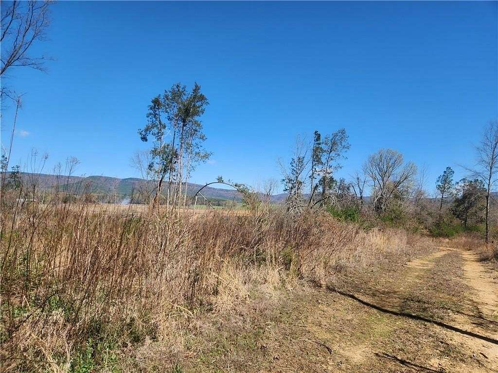 22.8 Acres of Recreational Land for Sale in Clarksville, Arkansas