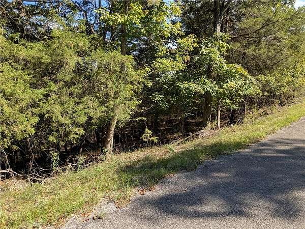 28.4 Acres of Land for Auction in Holiday Island, Arkansas