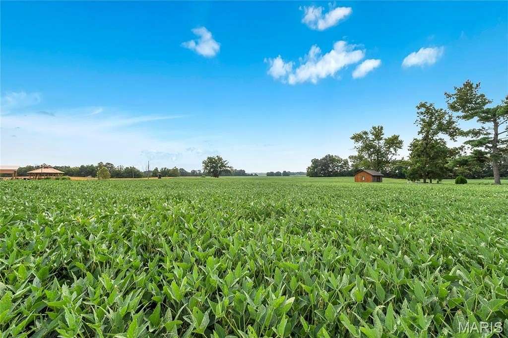 0.35 Acres of Residential Land for Sale in Hecker, Illinois