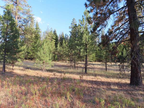 20.4 Acres of Land for Sale in Curlew, Washington