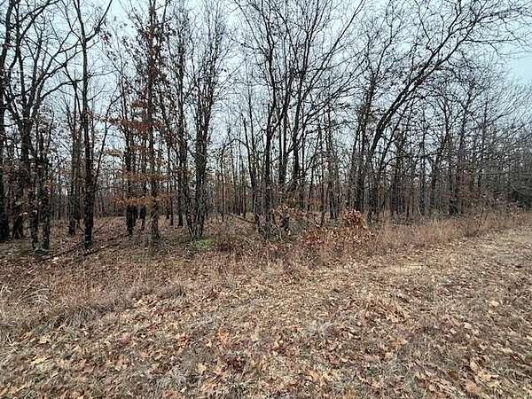 23.3 Acres of Land for Sale in Tunas, Missouri