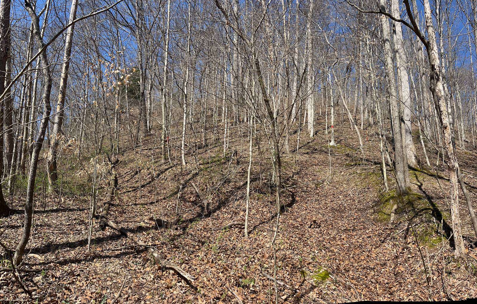 7 Acres of Land for Sale in Columbia, Kentucky