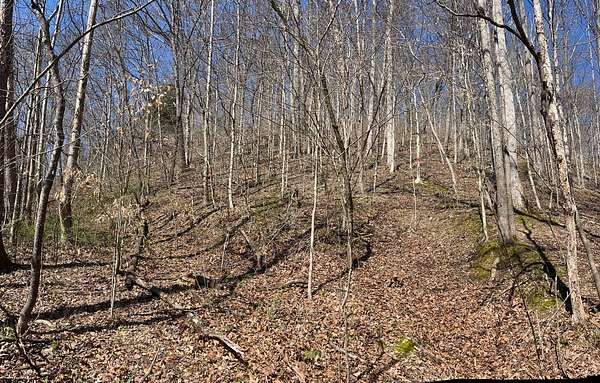 7 Acres of Land for Sale in Columbia, Kentucky