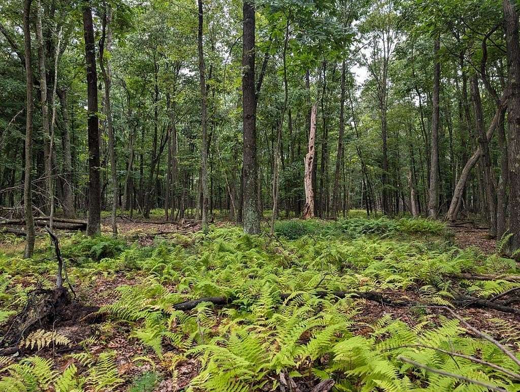 10.6 Acres of Recreational & Residential Land for Sale in Venus, Pennsylvania