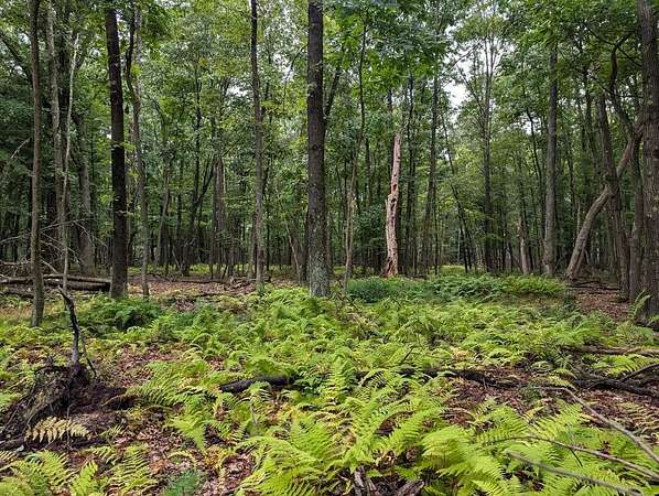 10.6 Acres of Recreational & Residential Land for Sale in Venus, Pennsylvania