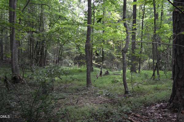 41 Acres of Recreational & Residential Land for Sale in Mebane, North Carolina
