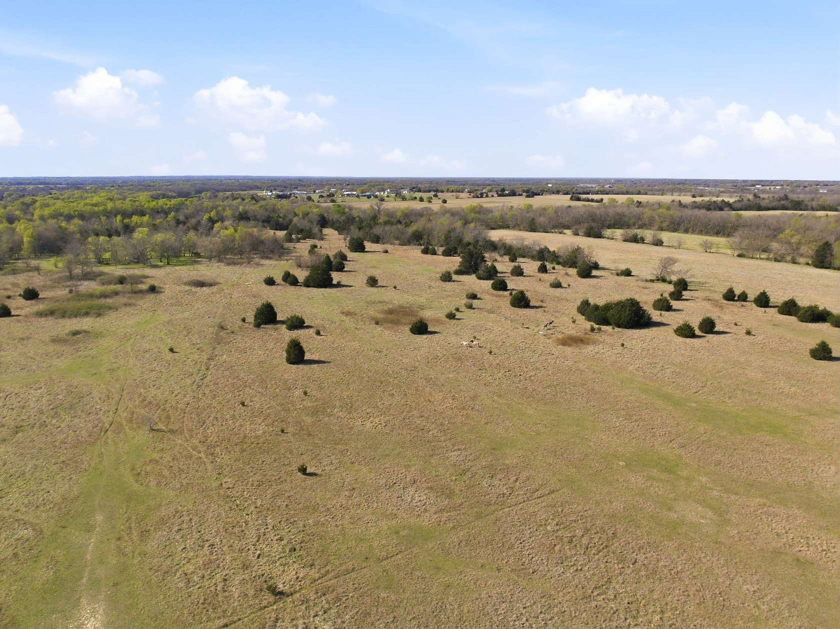40 Acres of Agricultural & Residential Land for Sale in Campbell, Texas