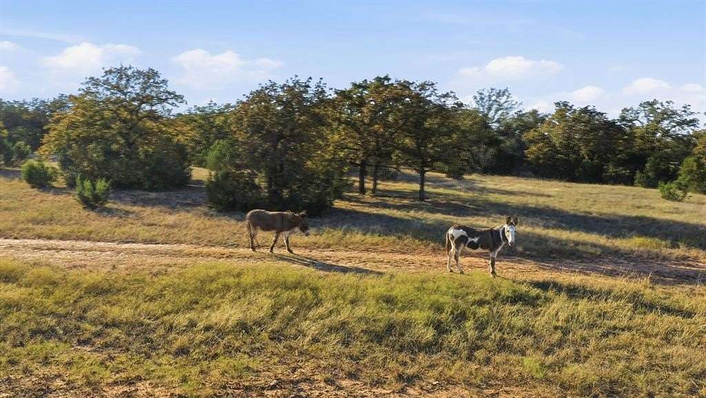 15 Acres of Land for Sale in Lipan, Texas