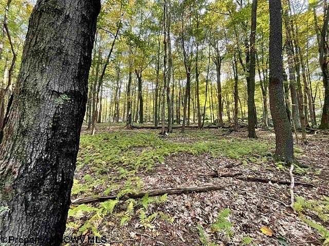 0.74 Acres of Residential Land for Sale in Terra Alta, West Virginia