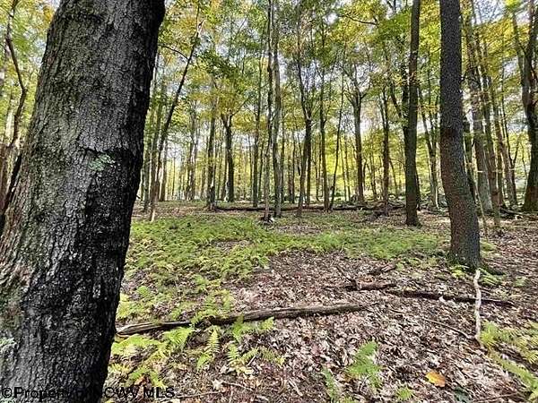 0.74 Acres of Residential Land for Sale in Terra Alta, West Virginia