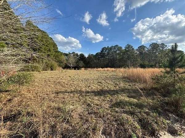 2 Acres of Residential Land for Sale in Patterson, Georgia