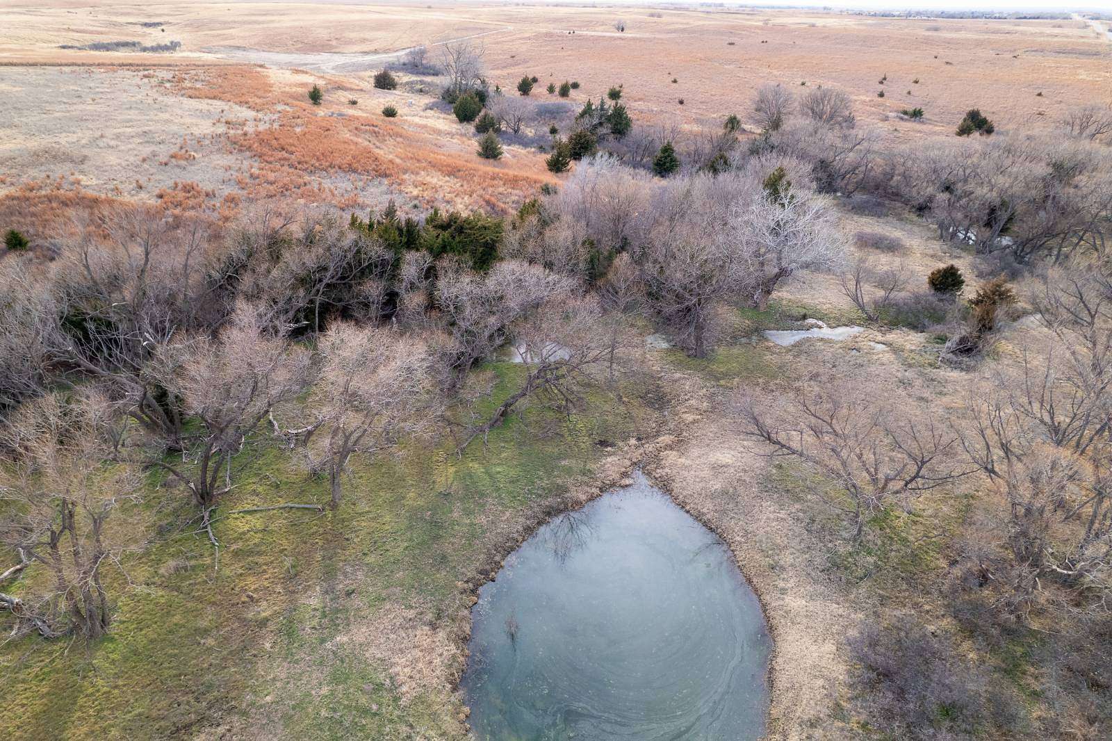 311 Acres of Land for Auction in Coldwater, Kansas